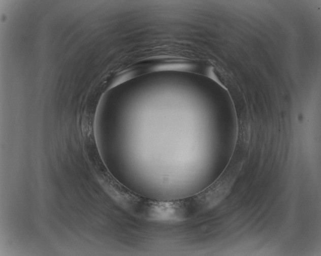 X0000081310091200701111319