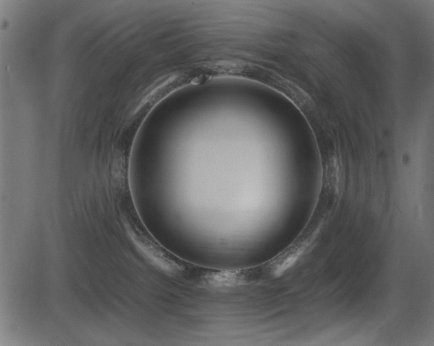 X0000081310092200701111319