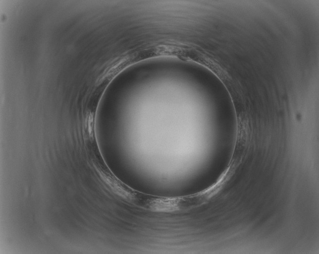 X0000081310094200701111319