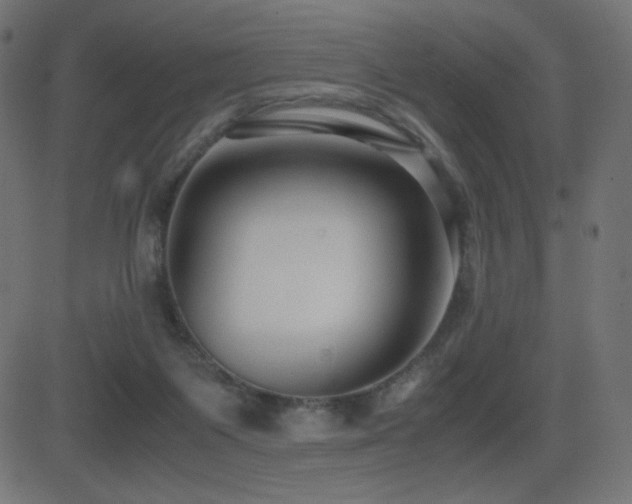 X0000081310119200701111318