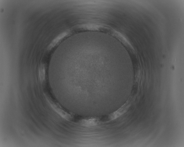 X0000081310120200701111318