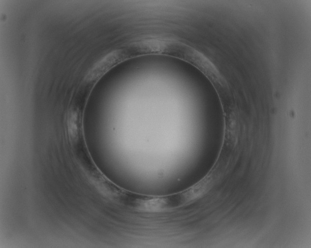 X0000081310122200701111318
