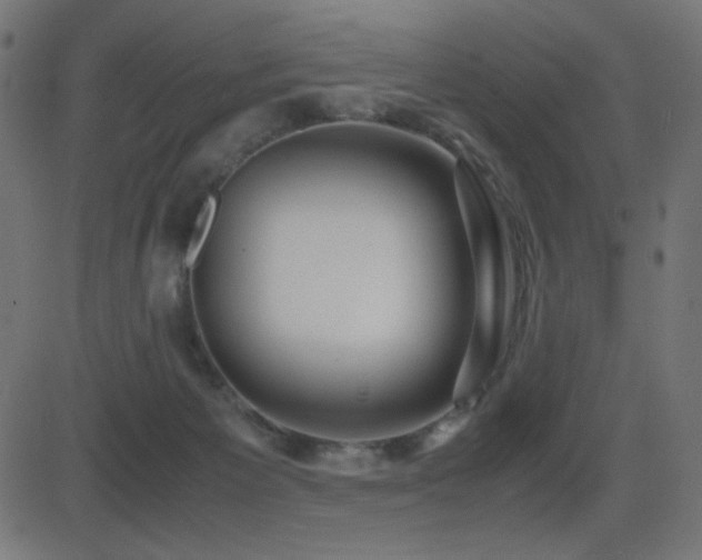 X0000081310125200701111318
