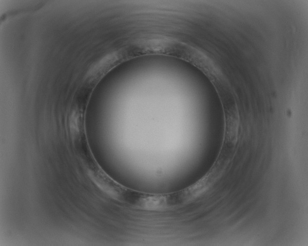 X0000081310126200701111318