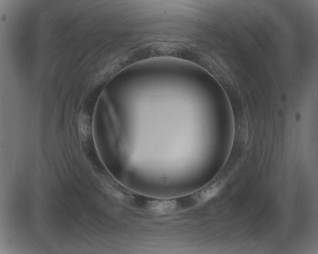 X0000081310135200701111318