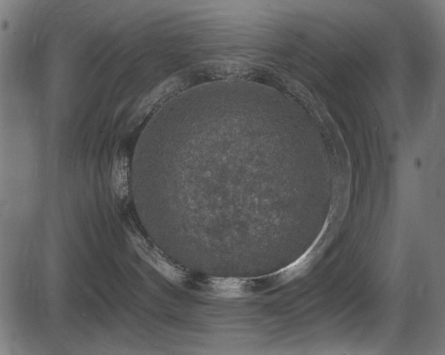 X0000081310144200701111317