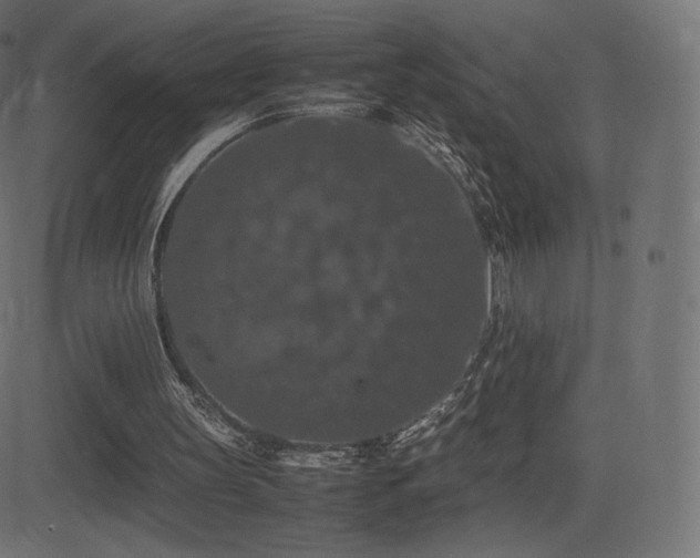 X0000081310147200701111317