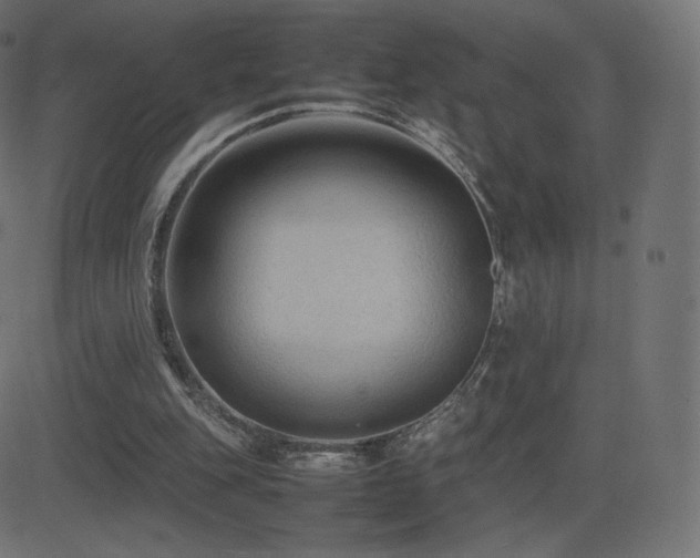 X0000081310151200701111317