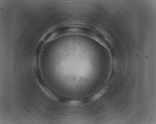 X0000081310158200701111317