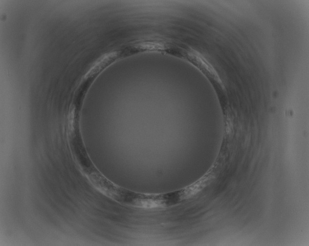X0000081310163200701111317