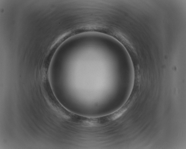 X0000081310164200701111317