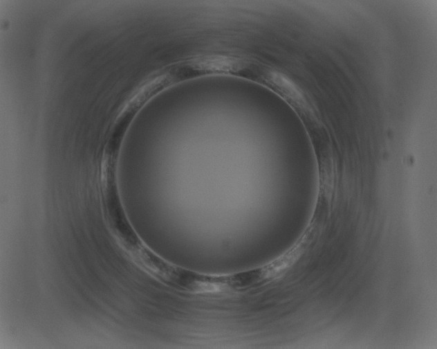 X0000081310167200701111317