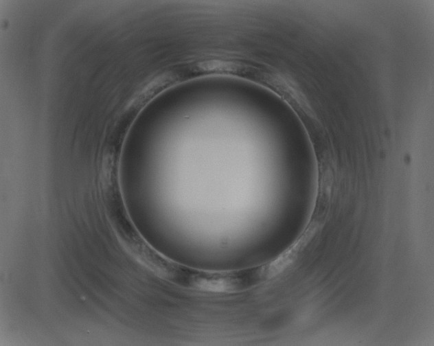 X0000081310171200701111317