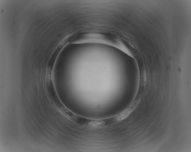 X0000081310172200701111317