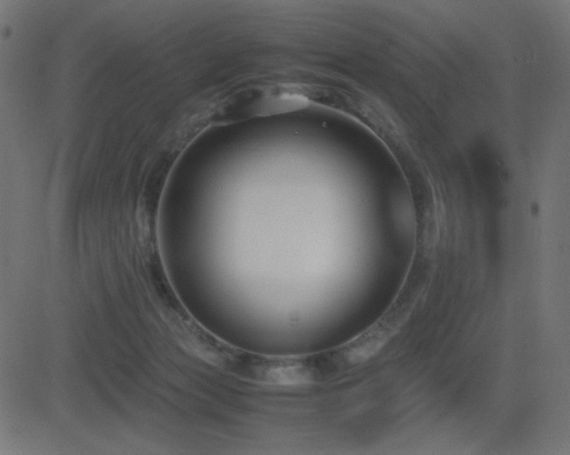 X0000081310173200701111317