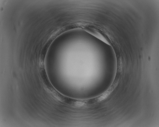 X0000081310176200701111317