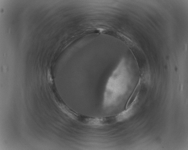 X0000081310182200701111317