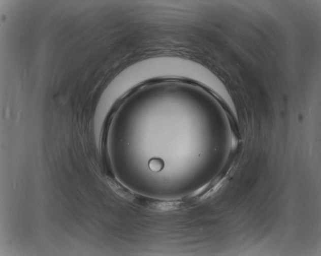 X0000081310184200701111317