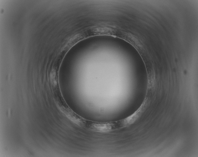 X0000081310187200701111317