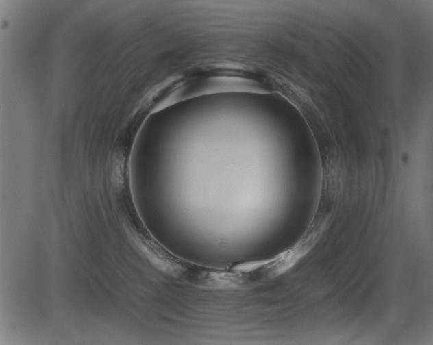 X0000081310188200701111317