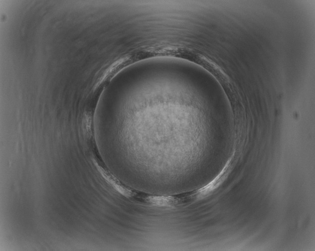 X0000081310192200701111317