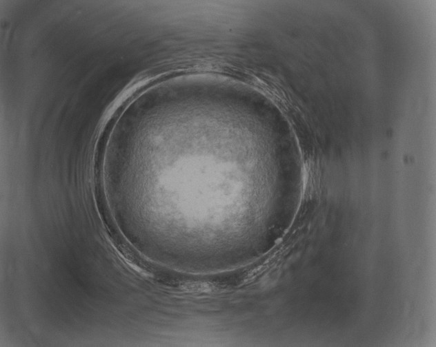 X0000081310195200701111317