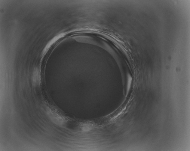 X0000081310200200701111317