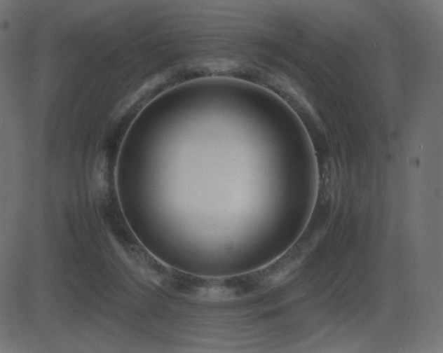 X0000081310212200701111316