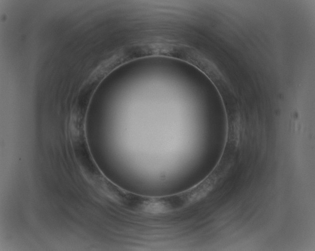 X0000081310218200701111316