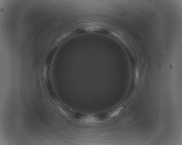 X0000081310219200701111316