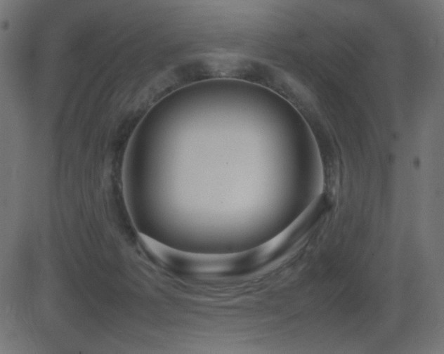 X0000081310221200701111316