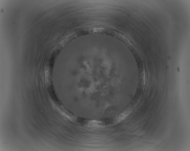 X0000081310222200701111316