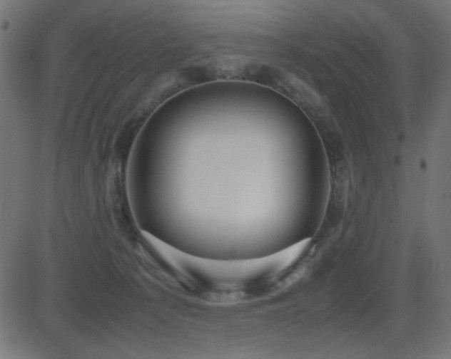 X0000081310225200701111316