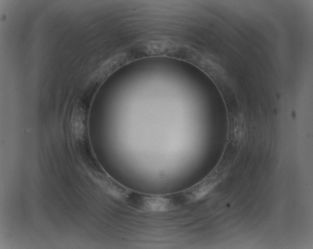 X0000081310226200701111316
