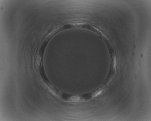 X0000081310227200701111316
