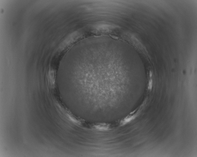X0000081310232200701111316