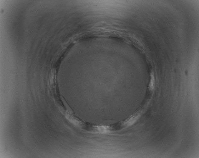 X0000081310233200701111316