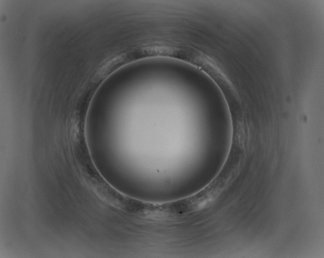 X0000081310259200701111315