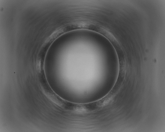 X0000081310262200701111315