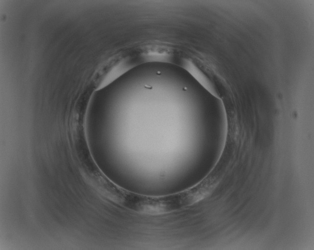 X0000081310263200701111315
