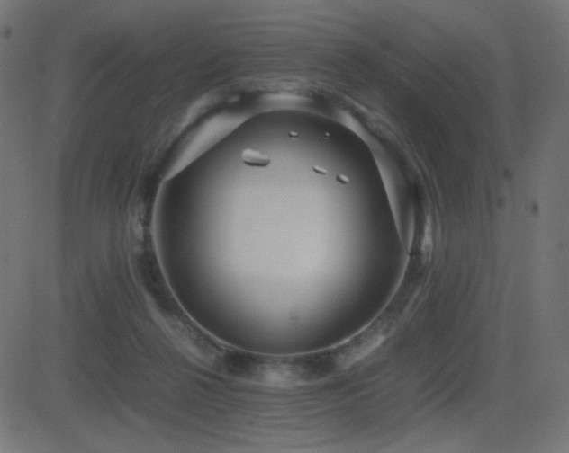X0000081310264200701111315