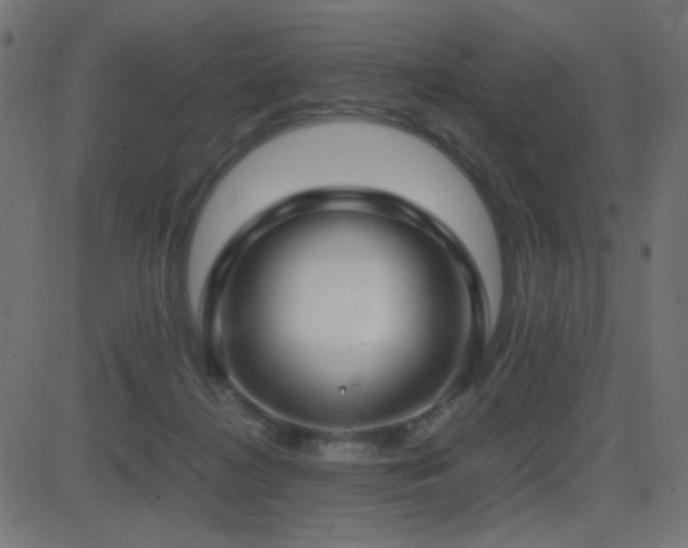 X0000081310268200701111315