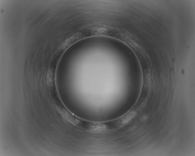 X0000081310274200701111316