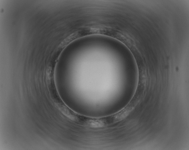 X0000081310275200701111316