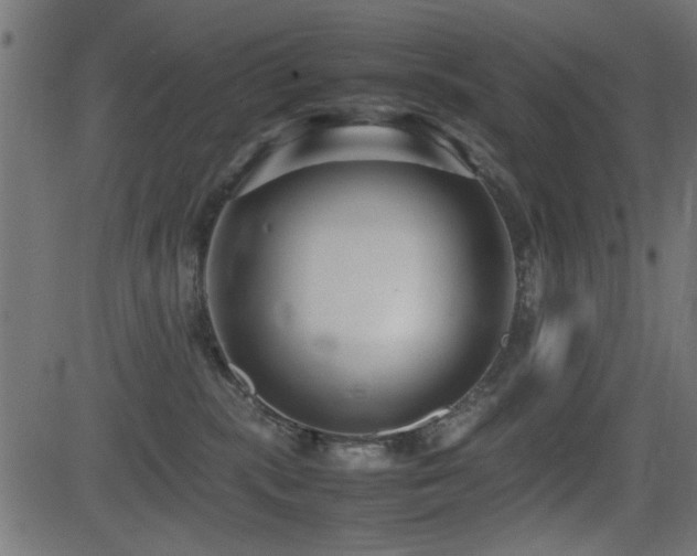 X0000081310283200701111316