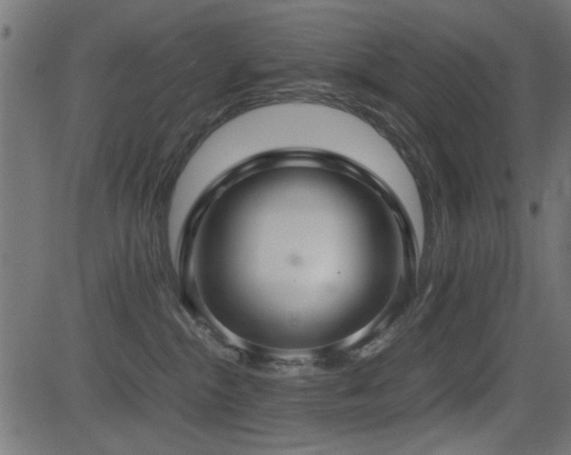 X0000081310284200701111316