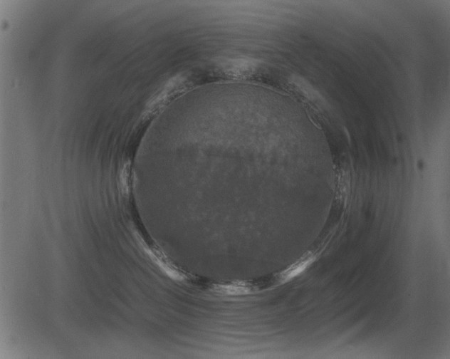 X0000081310286200701111316