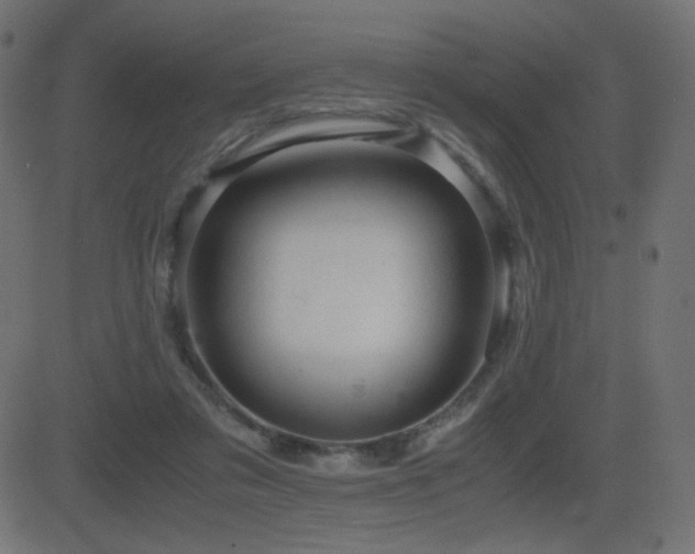 X0000081310309200701111315
