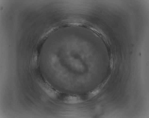 X0000081310314200701111315