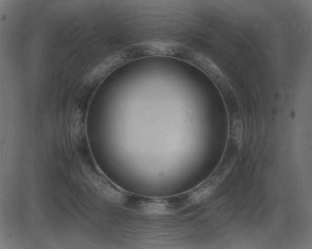 X0000081310318200701111315